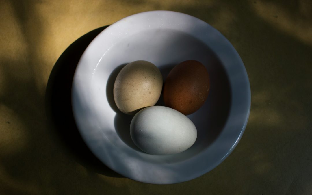 Discover the Delights of Swiss Egg: Recipes and Tips